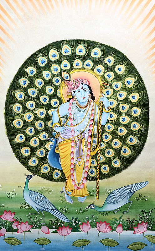 Lord Krishna in the Backdrop of Peacock Features Aureole