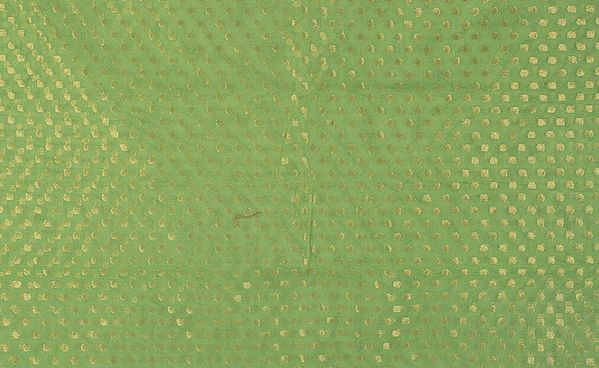 Light-Green Brocade Fabric from Banaras with All-Over Woven Bootis and Golden Border