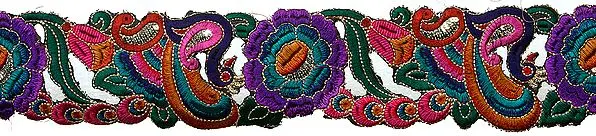 Multi-Color Cut Work Border with Embroidered Peacock and Sequins