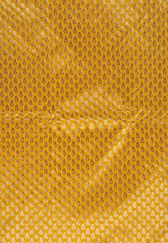 Golden-Yellow Banarasi Fabric with All-Over Woven Paisleys