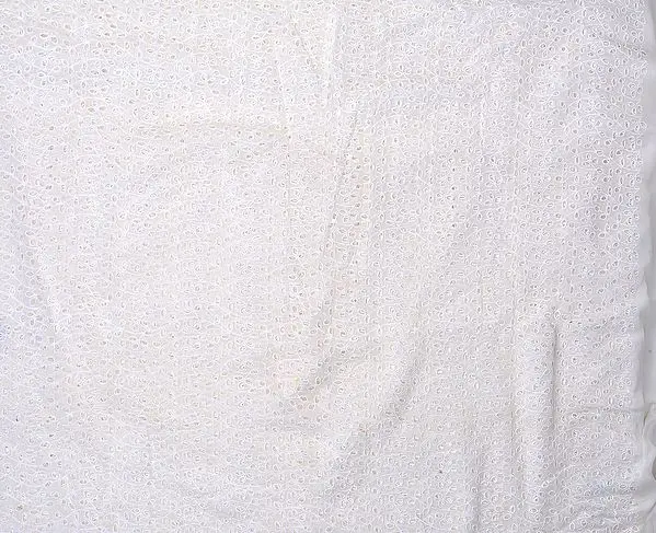 Chic-White Fabric with All-Over Thread Embroidered Flowers in Self