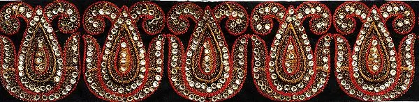Paisley Border with Aari Embroidery and Crystals
