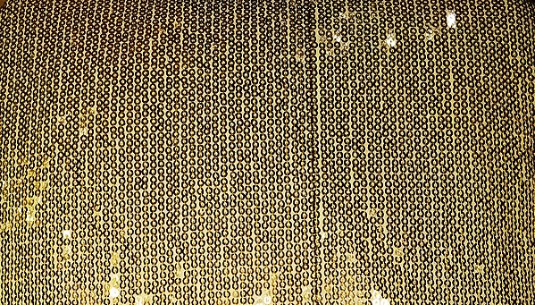 Densely Sequined Fabric