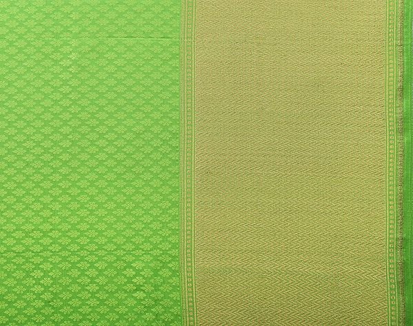 Jasmine-Green Self-Weave Banarasi Fabric with Golden Leharia Border