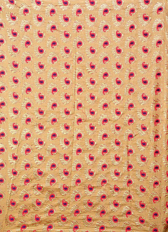 Costume Fabric with Zari-Woven Leaves and Paisleys