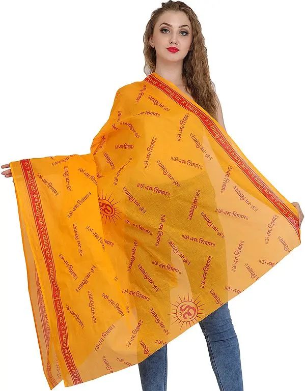 ओम नमः शिवाय (OM Namah Shivaya) Prayer Shawl
