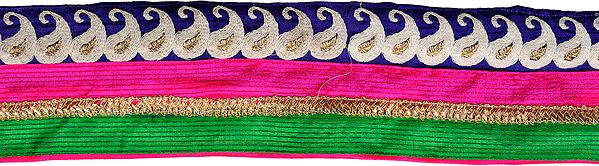 Tri-Color Fabric Border with Embroidered Paisleys