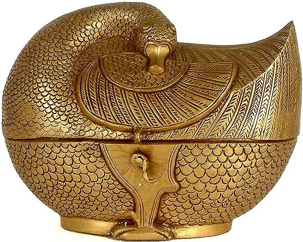 Duck Box