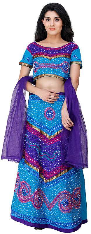 Lehenga Choli from Rajasthan with Thread Embroidery and Large Sequins