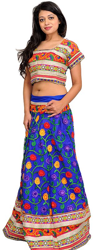 Blue and Pink Two-Piece Lehenga Choli with Aari Floral Embroidery and Wide Patch Border
