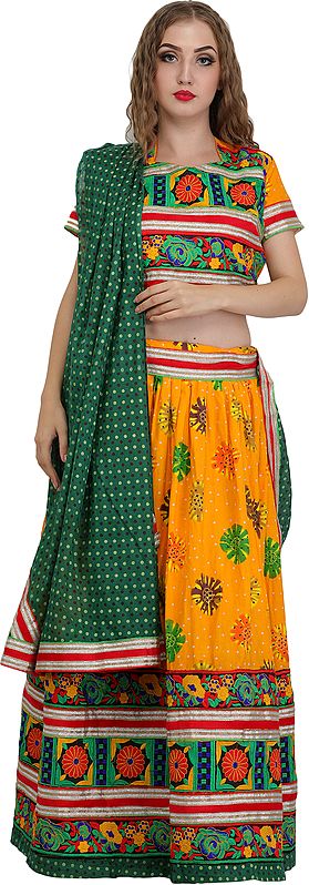 Apricot and Green Lehenga Choli from Jodhpur with Floral-Embroidery and Printed Large Bootis