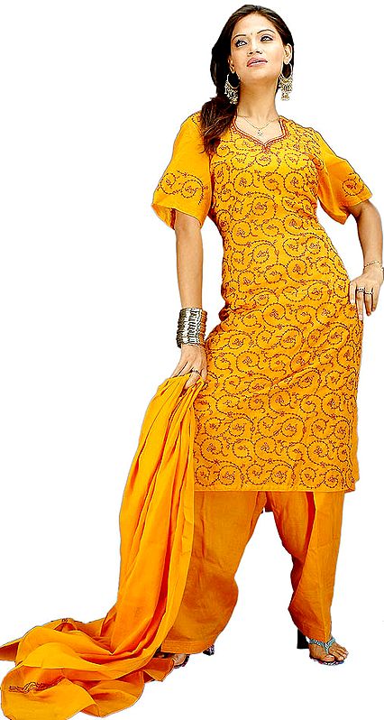 Amber Kashmiri Suit with All-Over Needle Embroidery