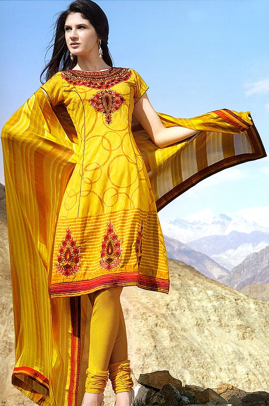 Aspen-Gold Choodidaar and Flaired Kameez with Crewel Embroidery and Patch Border
