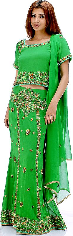 Bright Green Lehenga Choli Set with Persian Embroidery and Sequins