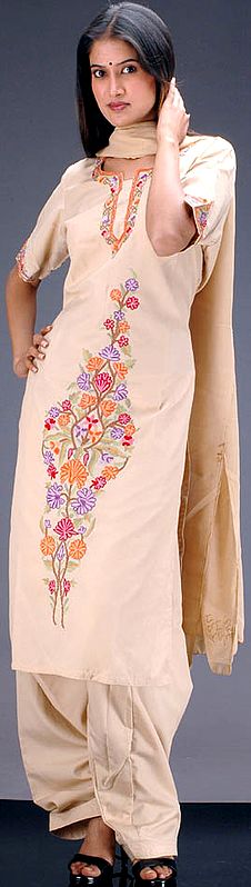 Champagne Cotton Suit with Kashmiri Embroidery