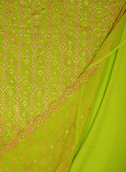 Densely Embroidered Lime Green Salwar Kameez