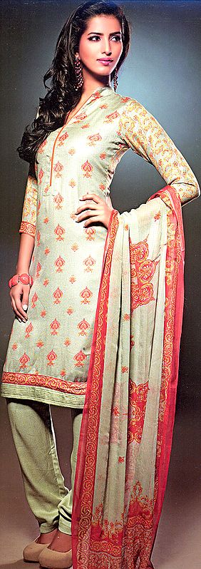Moss-Gray Printed Salwar Kameez Suit