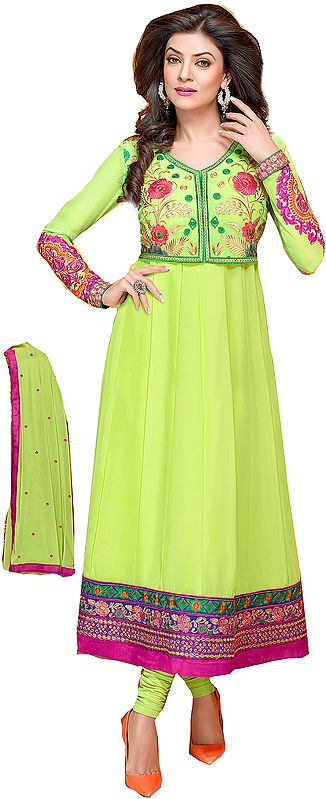 Paradise-Green Long Choodidaar Suit with Embroidery on Neck and Patch Border