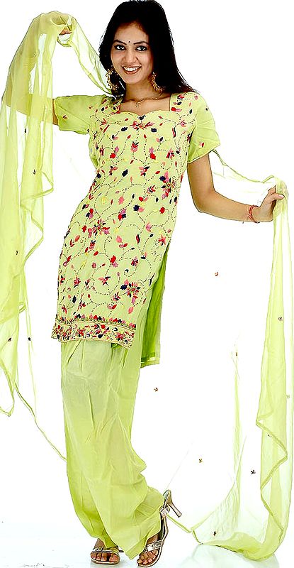 Pear Green Salwar Kameez with Multi-Color Parsi Embroidery