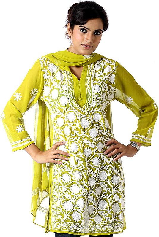 Pear-Green Chikan Embroidered Top with Stole