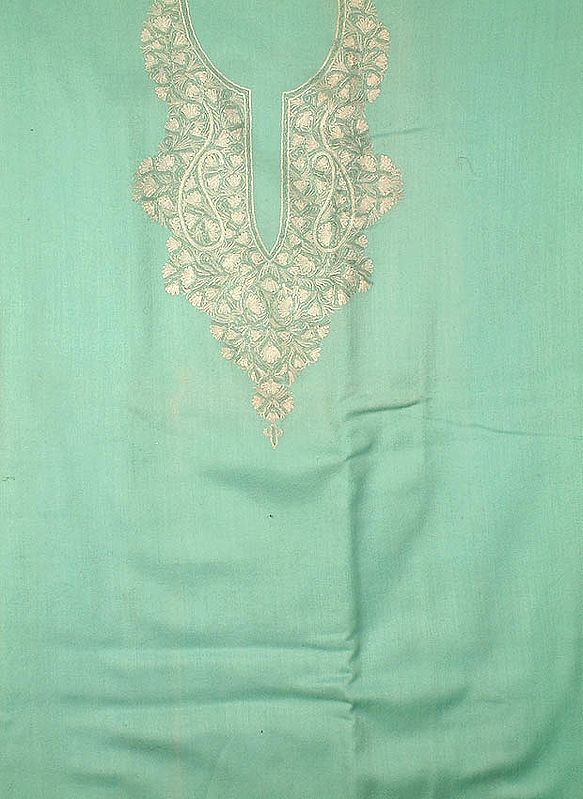 Pistachio Two-Piece Suit from Kashmir with Aari Embroidery