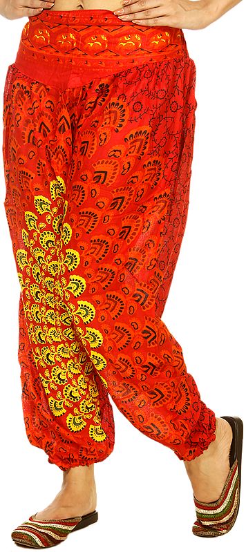 Red Harem Trousers with Printed Motifs