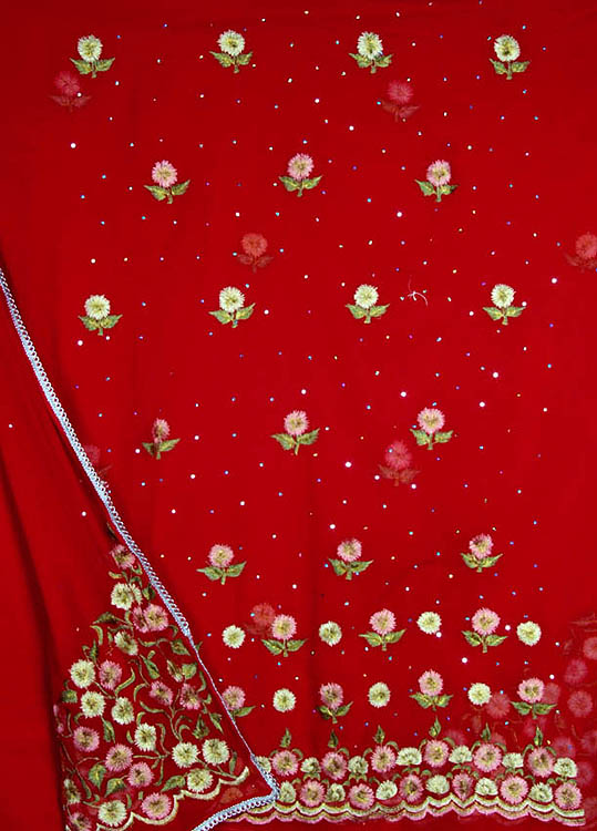 Red Salwar Suit with Parsi Embroidered Flowers and Sequins
