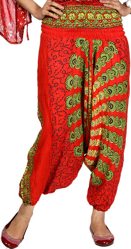 Scarlet Red Harem Trousers with Printed Motiffs