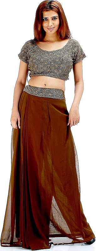 Sepia Readymade Sari Suit with Heavy Beadwork on Choli