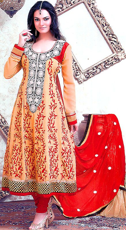 Khaki Flaired Choodidaar Kameez Suit with Embroidery and Patch on Neck