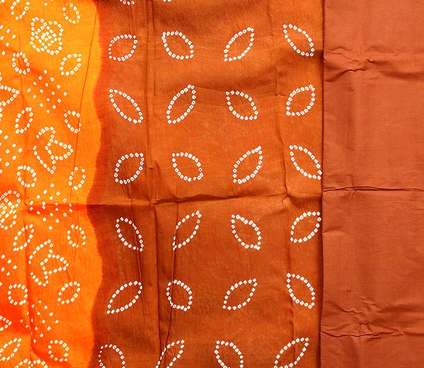 Orange and Brown Bandhani Tie-Dye Suit from Kutch with Floral Woven Border