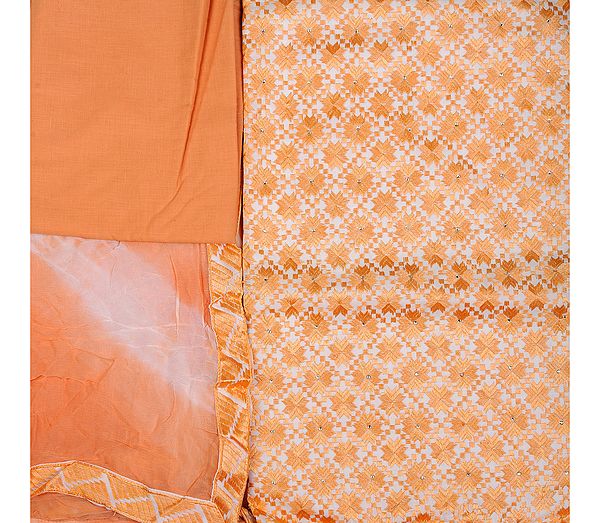 Peach Fuzz Phulkari Salwar Kameez Fabric From Punjab with Aari Embroidery All-Over