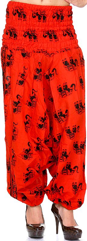 Red Harem Trousers with Printed Elephants