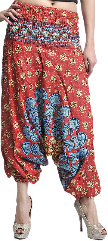 Red and Blue Harem Trousers with Printed Motifs