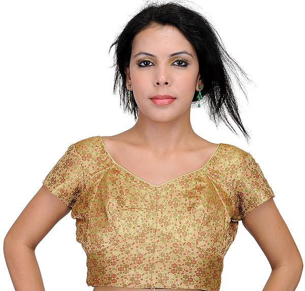 Beige Backless Choli from Banaras with Brocade Weave