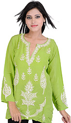 Kurti from Kashmir with Aari Embroidered Maple Leaves and Paisleys