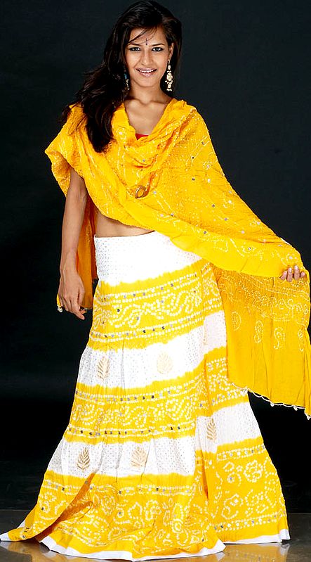 Yellow and White Chaniya Choli from Rajasthan with Large Mirrors and Sequins