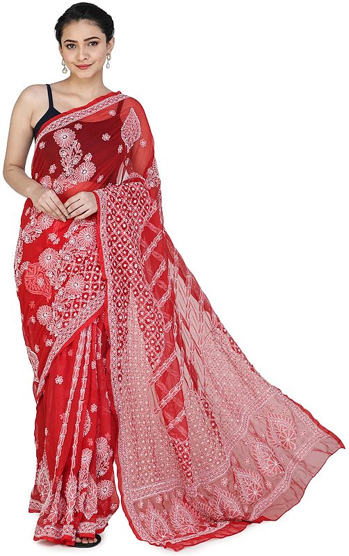 Rubocondo Lukhnavi Chikan Sari with Floral Hand-Embroidery All-over