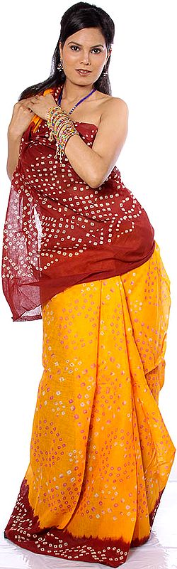 Amber and Brown Bandhani Sari from Rajasthan