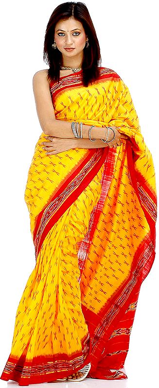 Amber and Red Pochampally Sari