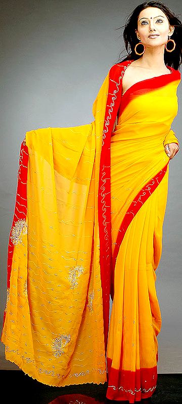 Amber and Red Sari with Threadwork
