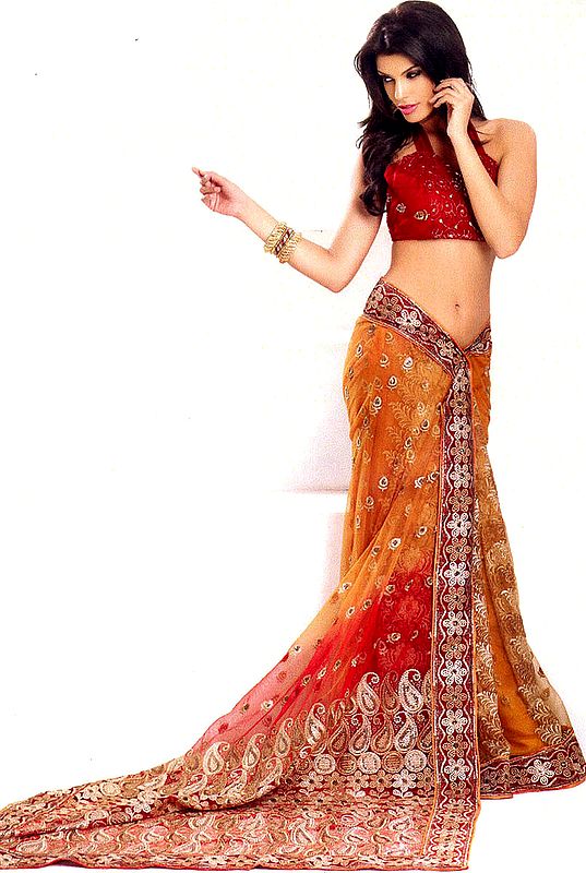 Amber and Red Wedding Sari with Aari Embroidered Paisleys and Sequins