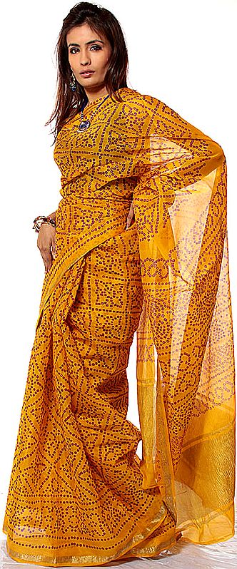 Amber Bandhani Sari from Rajasthan