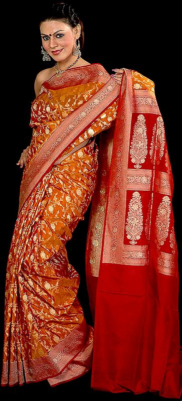 Amber Jamdani Banarasi Sari with All-Over Woven Jaal