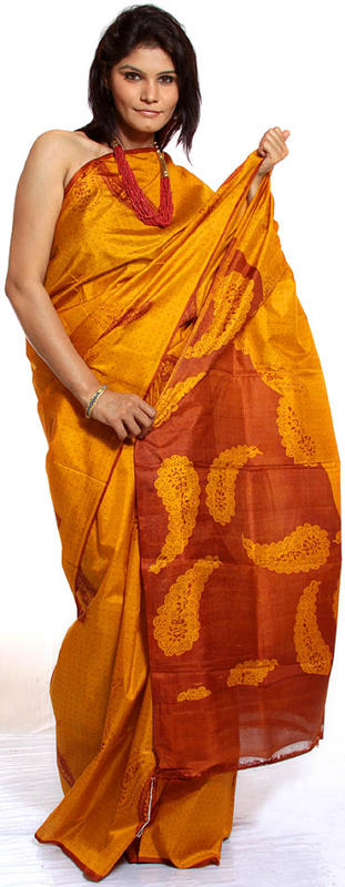 Amber Sari from Kolkata with Printed Paisleys