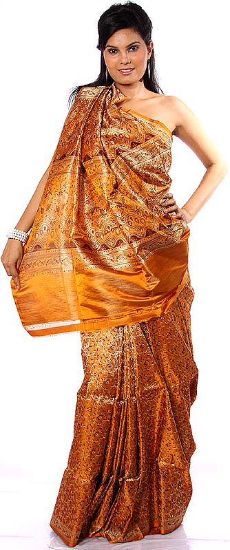 Amber Satin Tanchoi Sari with All-Over Brocaded Flowers