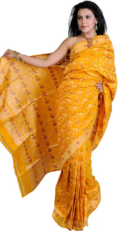 Artisan's-Gold Banarasi Jamdani Sari with Hand-woven Brocaded Flowers