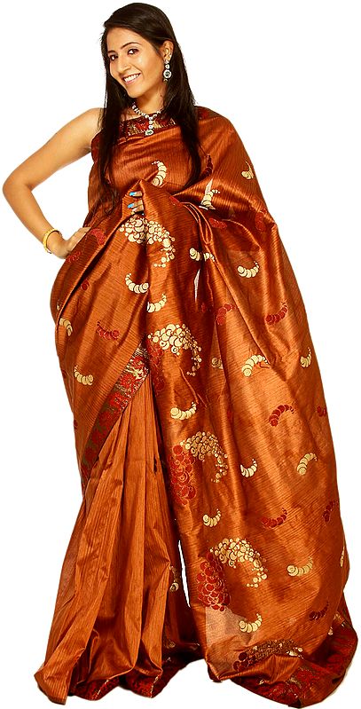 Baked-Clay Banarasi Sari with Golden Thread Embroidery All-Over and Patch Border