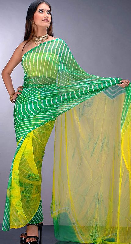 Bandhini Dyed Chiffon Sari from Gujarat
