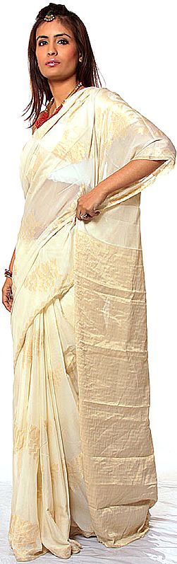 Beige Banarasi Sari with All-Over Weave in Golden Thread